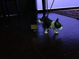 IMG_20220925_190144563.JPG
